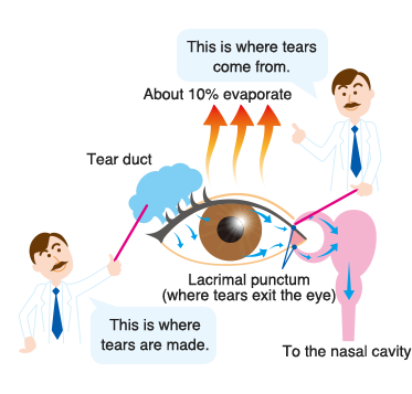 Tear Meaning 